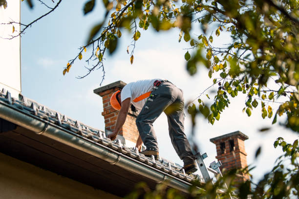Best Roof Maintenance Services  in Janesville, WI
