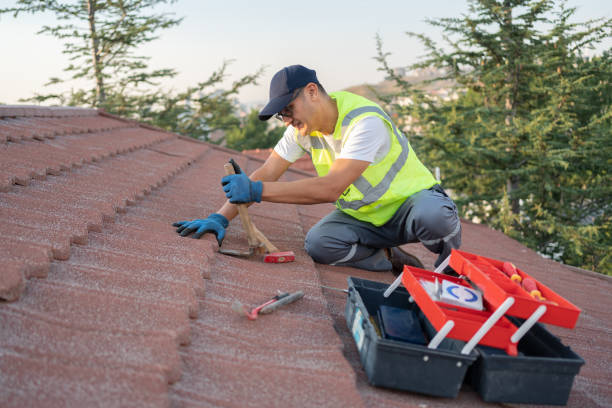 Best Flat Roof Repair Services  in Janesville, WI